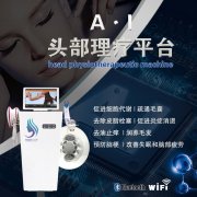 江蘇蘇州頭療儀廠家，頭部保養(yǎng)必不可少